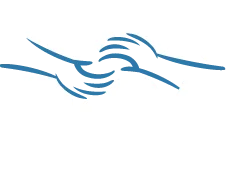 Main Logo